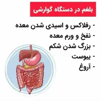 آموزش رایگان|خدمات آموزشی|کندوان, |دیوار