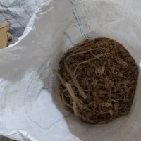 تنباکو بنیاد