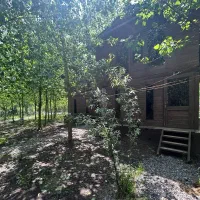 جواهری در مجموعه ای سرسبز|فروش خانه و ویلا|مهاجران, |دیوار