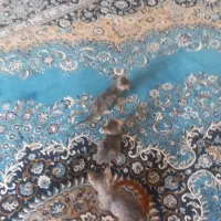 واگذاری سه تا بچه گربه ناز رایگان