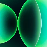 همکار خانم در دفتر پیشخوان دولت