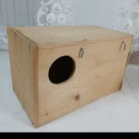 لانه پرنده عروس هلندی و طوطی راهب