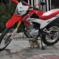 تریل پرواز ۲۰۰ gy خشک