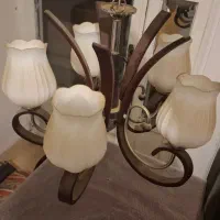 لوستر سالم و تمیز