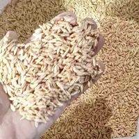 جومحلی|حیوانات مزرعه|قوچان, |دیوار