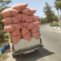 کاهنرم
