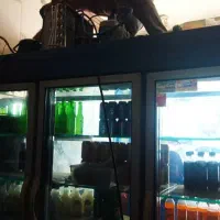 تعمیرات یخچال صنعتی وخانگی کولر لباسشویی آبگرمکن