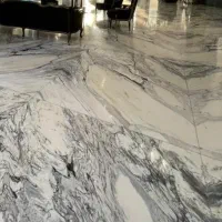 250-متری-گل-منطقه-سجاد-جنوبی