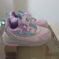 کفش چرخ دار