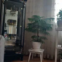 بوفه|بوفه، ویترین، کنسول|ملایر, |دیوار