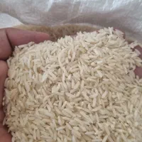 برنج کشت اول فریدون کنار شمال|خوردنی و آشامیدنی|شیراز, تاچارا|دیوار