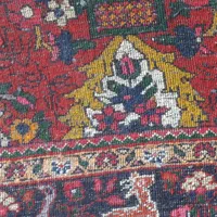 فرش کهنه قدیمی|فرش|زنجان, |دیوار