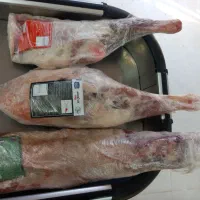 گوشت منجمد تنظیم بازار وارداتی (مغولستان)