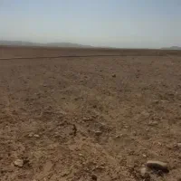 زمین کشاورزی با چاه آب|اجارهٔ دفتر صنعتی، کشاورزی، تجاری|گلبهار, بیزکی|دیوار