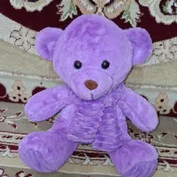 پولیشی خارجی