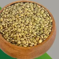 حبوبات عمده، نخودکرمانشاه،عدس لپه، باقالی خشک،|خوردنی و آشامیدنی|قرچک, شهرک طلائیه|دیوار