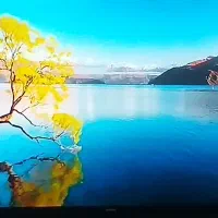 تلویزیون۴۹اینچ آیوا m7|تلویزیون و پروژکتور|اسلام‌‌آباد غرب, |دیوار