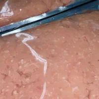 خرده مرغ (بچه فیله)|عمدهفروشی|شریفآباد, |دیوار