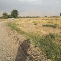 زمین کشاورزی 2000 فوشنجان