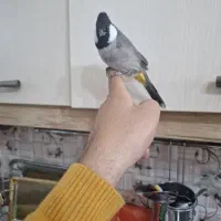نداشتن زمان