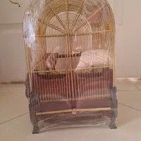 قفس برنجی گنبدی|لوازم جانبی حیوانات|تهران, بیسیم|دیوار