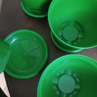 گلدان های سبز|گل و گیاه طبیعی|تهران, مهرآباد جنوبی|دیوار