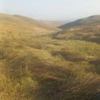 کارگر