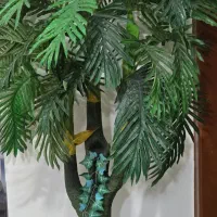 درختچه(مقطوع)