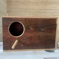 لانه چوبی طوطی