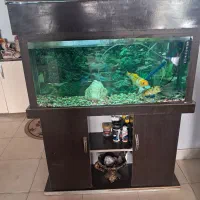 آکواریوم با لوازم و ماهی
