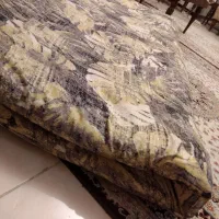 تشک پنبه ای|رختخواب، بالش، پتو|شاهرود, |دیوار