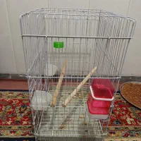 قفس|لوازم جانبی حیوانات|شیراز, شهرک مهرگان|دیوار