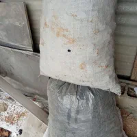 زغال خوب|عمده‌فروشی|یاسوج, |دیوار