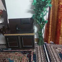 فروش درخت سبز