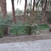 اجاره خانه مسکونی