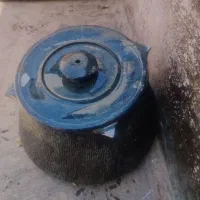 دیزی‌‌ سنگی
