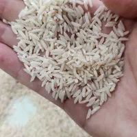 برنج هاشمی درجه یک