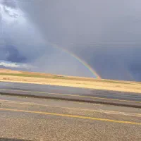 به یک آشپز. بین. راهی  نیازمندیم