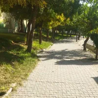 استخدام کارگر بدون حاشیه برای کارواش