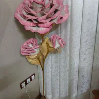 گل فوم کنارسالنی