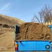 کود گاوی وگوسفندی