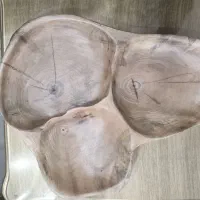 میوه و اردوخوری چوب گردو