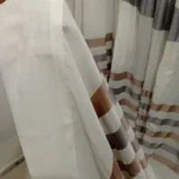 پالتو