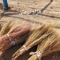 جارو باغی دستی|لوازم نظافت|لردگان, |دیوار