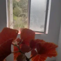 فروش خانه در کلیبر|فروش آپارتمان|کلیبر, |دیوار