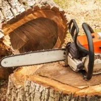 هرس برش درخت وخریدچوب باقیمت بالا|خدمات باغبانی و درختکاری|یزد, |دیوار