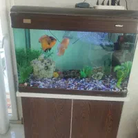 اکواریوم شیشه خم