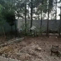 باغچه دورسون آباد فروش به دلیل مهاجرت