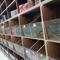 ویترین ایستاده فروشگاه