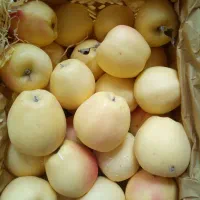 «دو نفر کارگر ساده زرنگ »« دو نفر حساب دار»